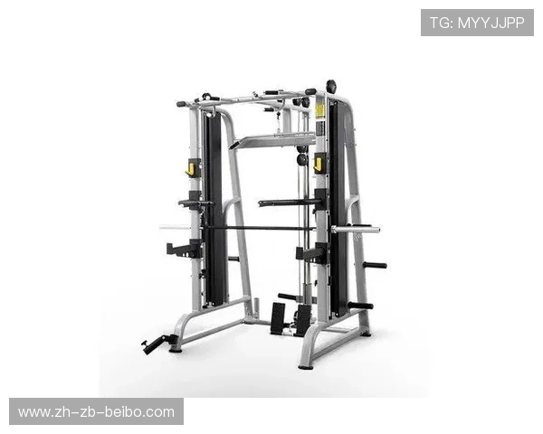 组合式健身器材:组合式健身器材的功能与购买建议 组合式健身器材:组合式健身器材的功能与购买建议