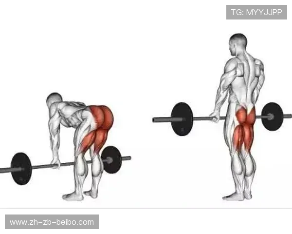 转体健身器材:适合转体练习的健身器材类型与功能说明 转体健身器材:适合转体练习的健身器材类型与功能说明